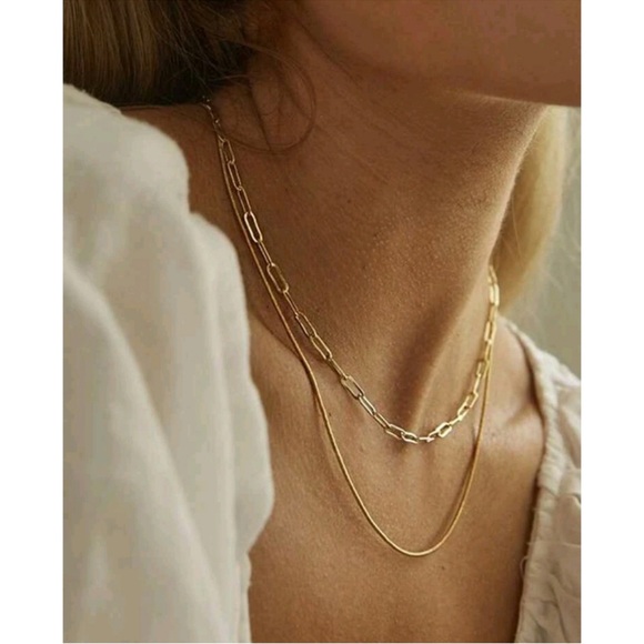 Anthropologie Jewelry - Anthropologie Florence Dainty Minimalist Layered Paperclip Chain Necklace -5 S